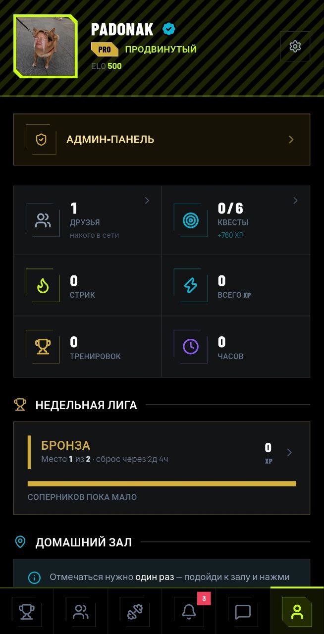 Экран профиля: стрик, опыт, лига